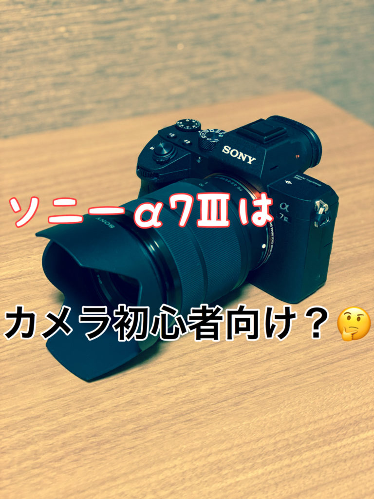 A７ Sonyのミラーレス一眼を買ってみた スマホ写真とはやっぱり違う ざばーるのapple信者への道